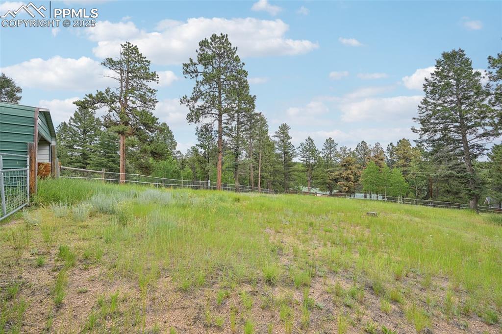 738 Rangeview Road Divide, CO 80814 - Photo 26 of 33