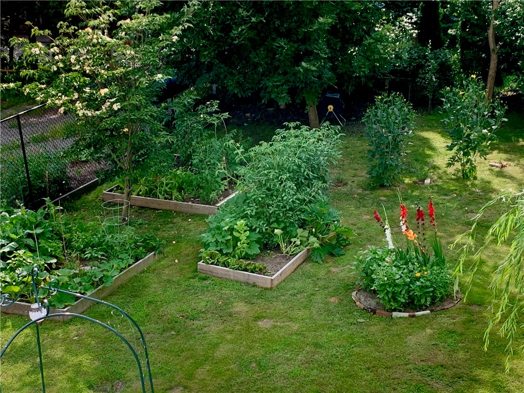 56 Ivy Street Providence, RI 02906 - Photo 6 of 41