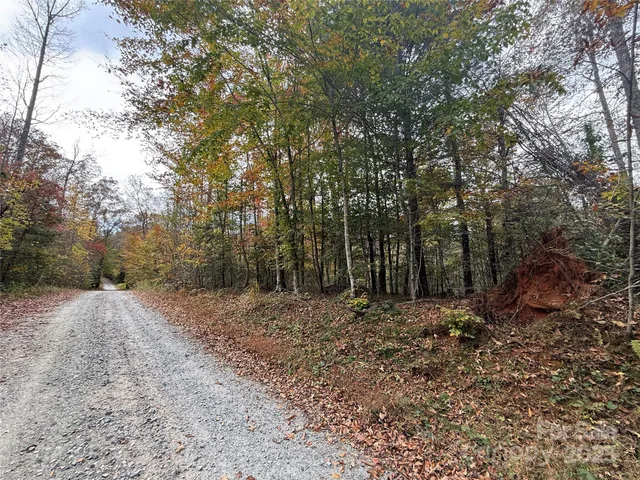 a big yard with lots of green space