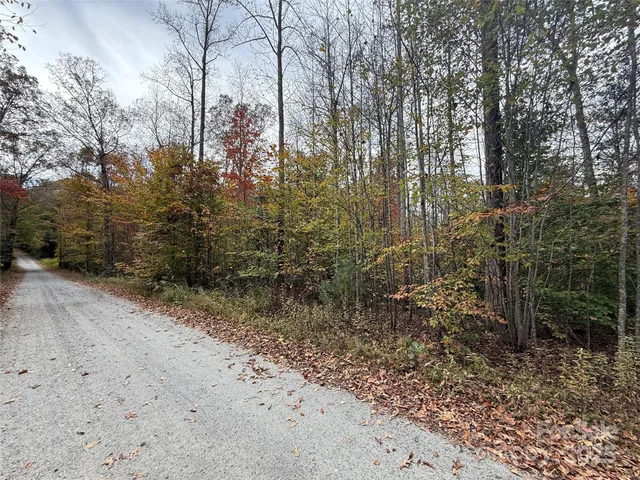 a view of a yard with plants and trees