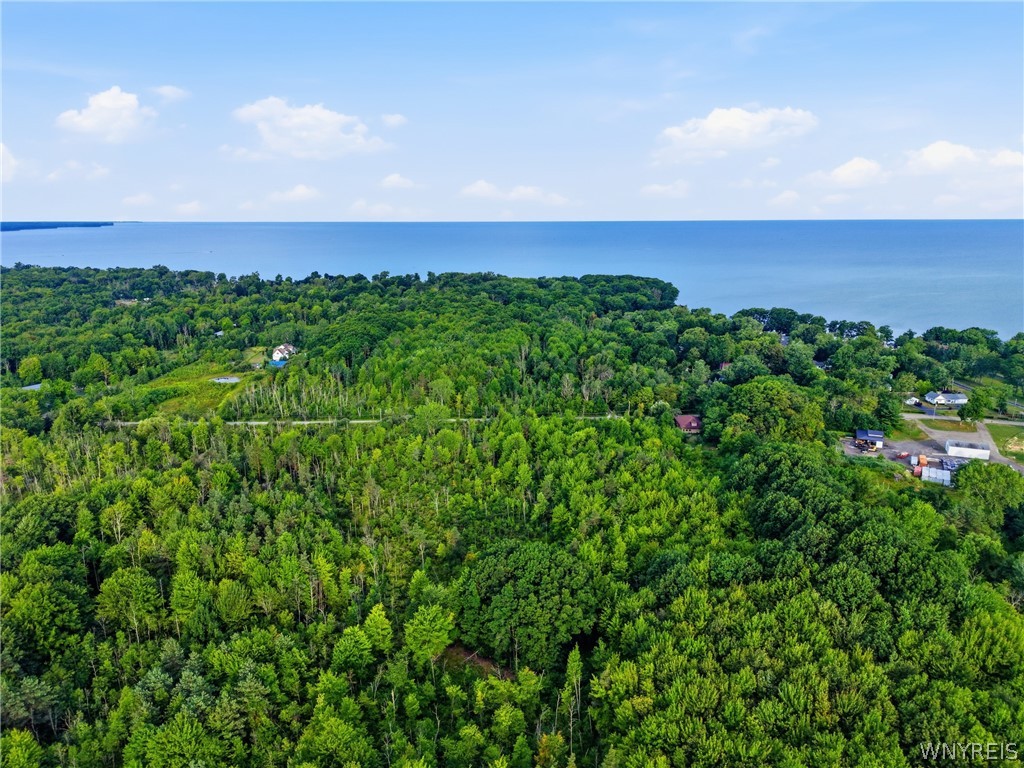 3 Lake Shore Road Brant, NY 14081 - Photo 7 of 12 Gallery Image 7