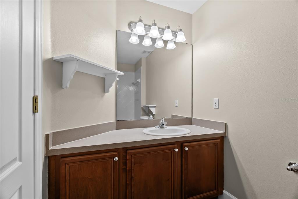 5012 Mirror Ridge Court Lutz, FL 33558 - Photo 29 of 44 a bathroom with a sink and a mirror
