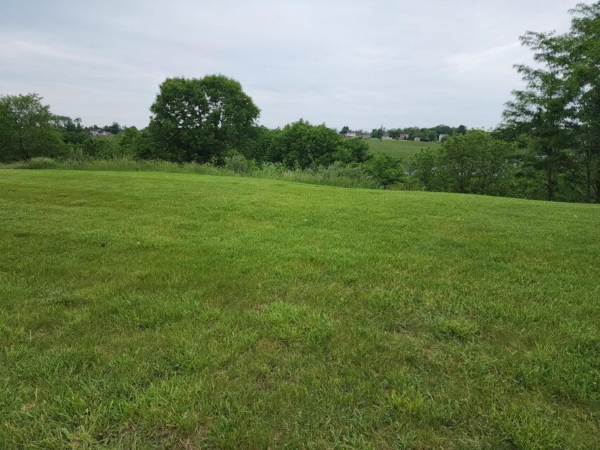 305 Eagle Ridge Drive Dry Ridge, KY 41035 - Photo 4 of 9