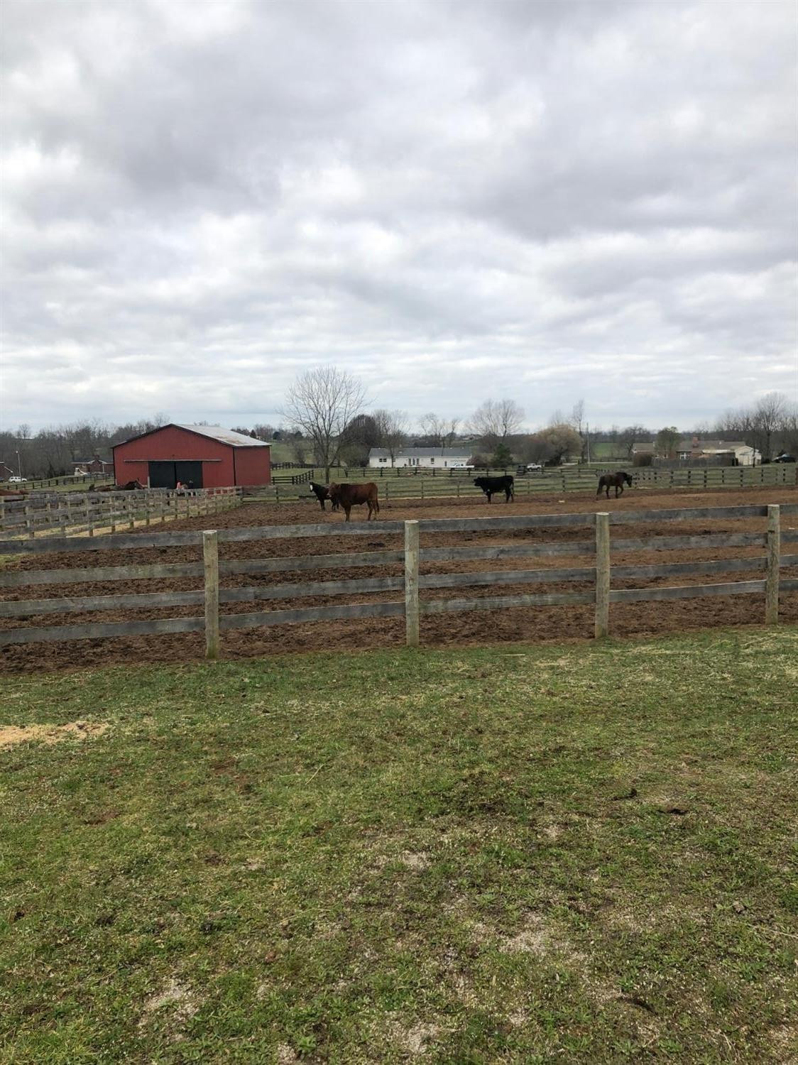 495 Tarr Road Paris, KY 40361 - Photo 32 of 45 Photo 32