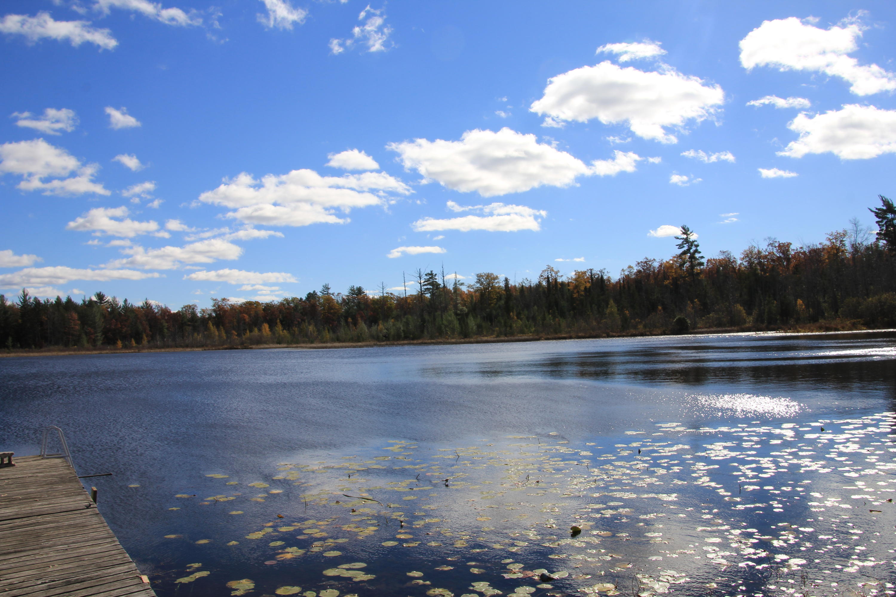 7158 East County Line Road South Branch, MI 48761 - Photo 13 of 39 Gallery Image 13