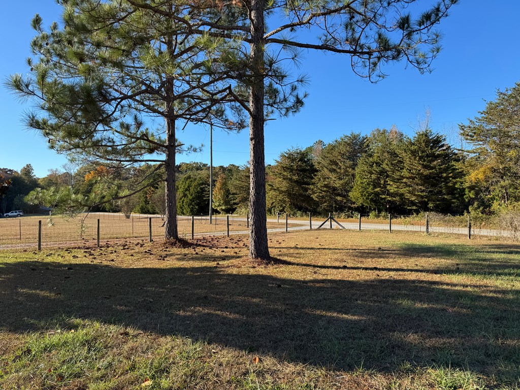 446 Moore Road Pine Mountain, GA 31822 - Photo 18 of 24 Gallery Image 18