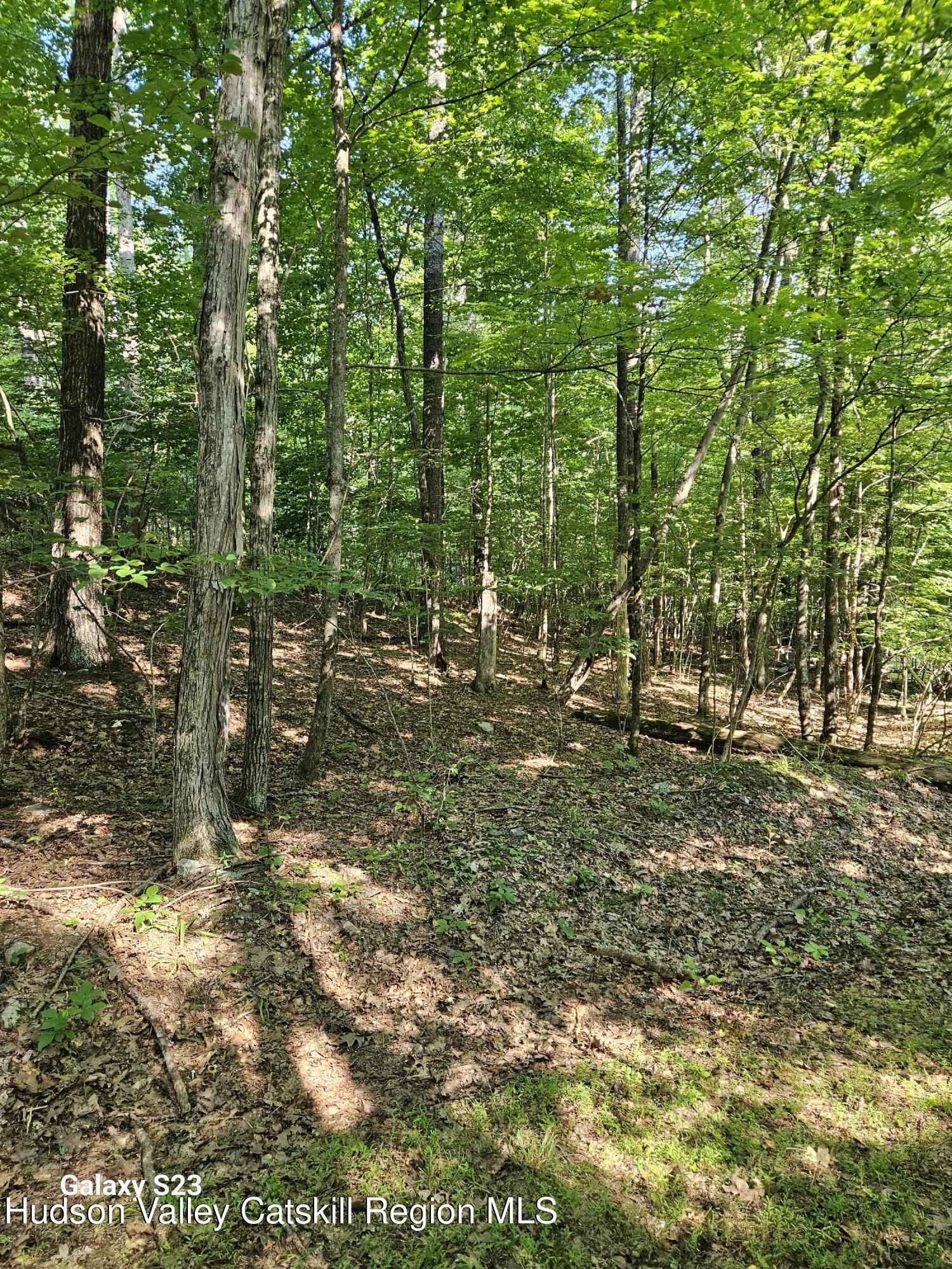 0 Hearts Content Road Catskill, NY 12414 - Photo 13 of 21 20260711_164923