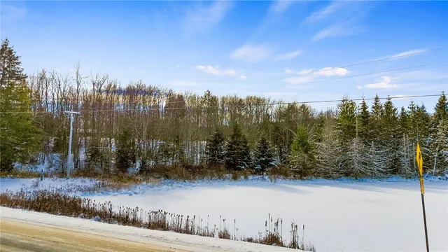 $99,000 | L1 County Road 16, Plymouth, NY 13832