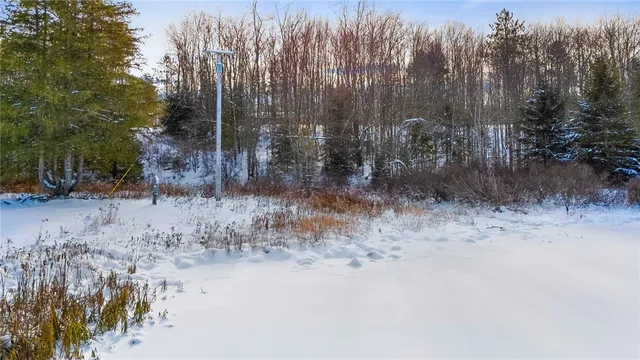 $99,000 | L1 County Road 16, Plymouth, NY 13832