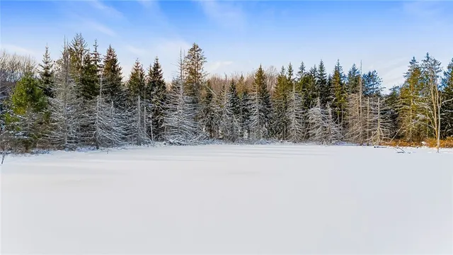 $99,000 | L1 County Road 16, Plymouth, NY 13832