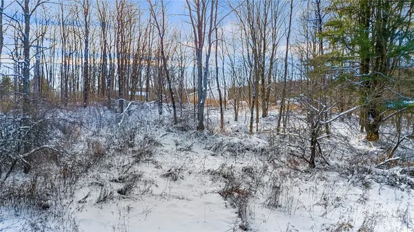 $99,000 | L1 County Road 16, Plymouth, NY 13832