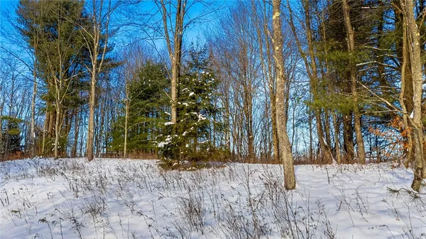 $99,000 | L1 County Road 16, Plymouth, NY 13832