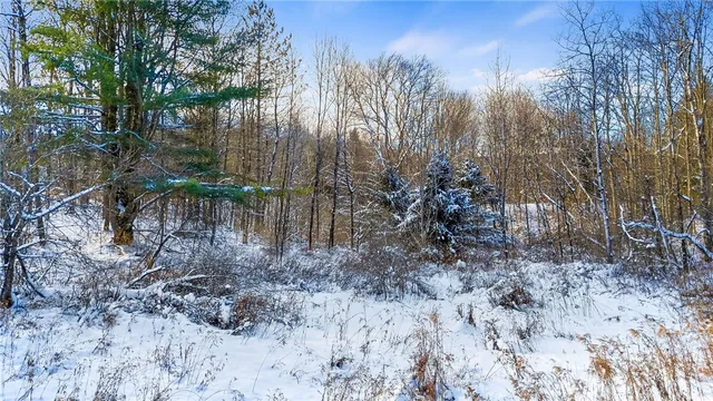 $99,000 | L1 County Road 16, Plymouth, NY 13832