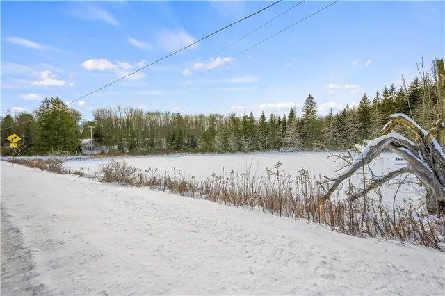 $99,000 | L1 County Road 16, Plymouth, NY 13832