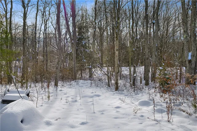 $99,000 | L1 County Road 16, Plymouth, NY 13832