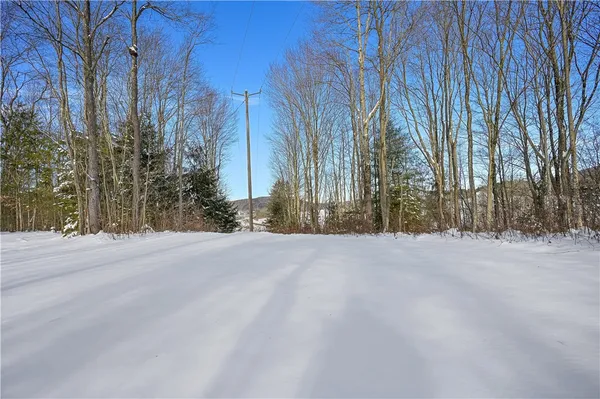 $99,000 | L1 County Road 16, Plymouth, NY 13832