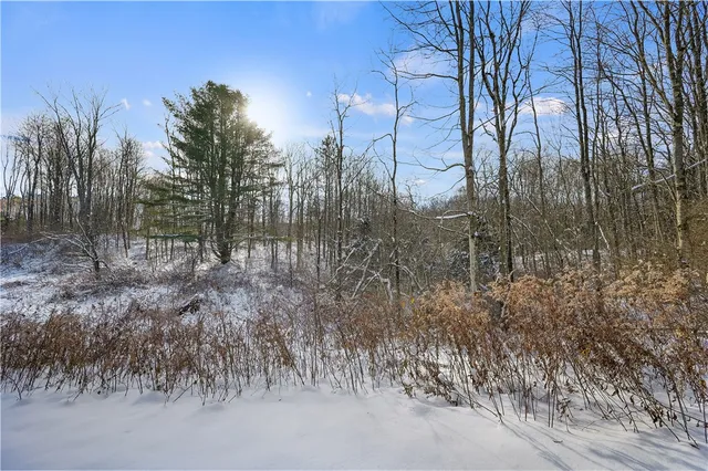 $99,000 | L1 County Road 16, Plymouth, NY 13832