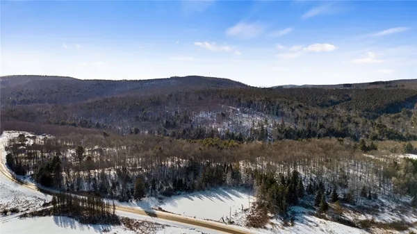 $99,000 | L1 County Road 16, Plymouth, NY 13832