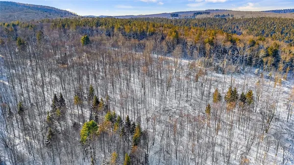 $99,000 | L1 County Road 16, Plymouth, NY 13832