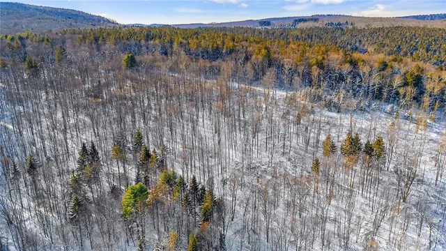 $99,000 | L1 County Road 16, Plymouth, NY 13832