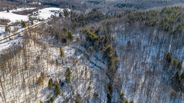 $99,000 | L1 County Road 16, Plymouth, NY 13832