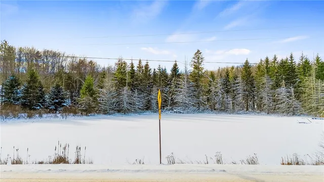 $99,000 | L1 County Road 16, Plymouth, NY 13832