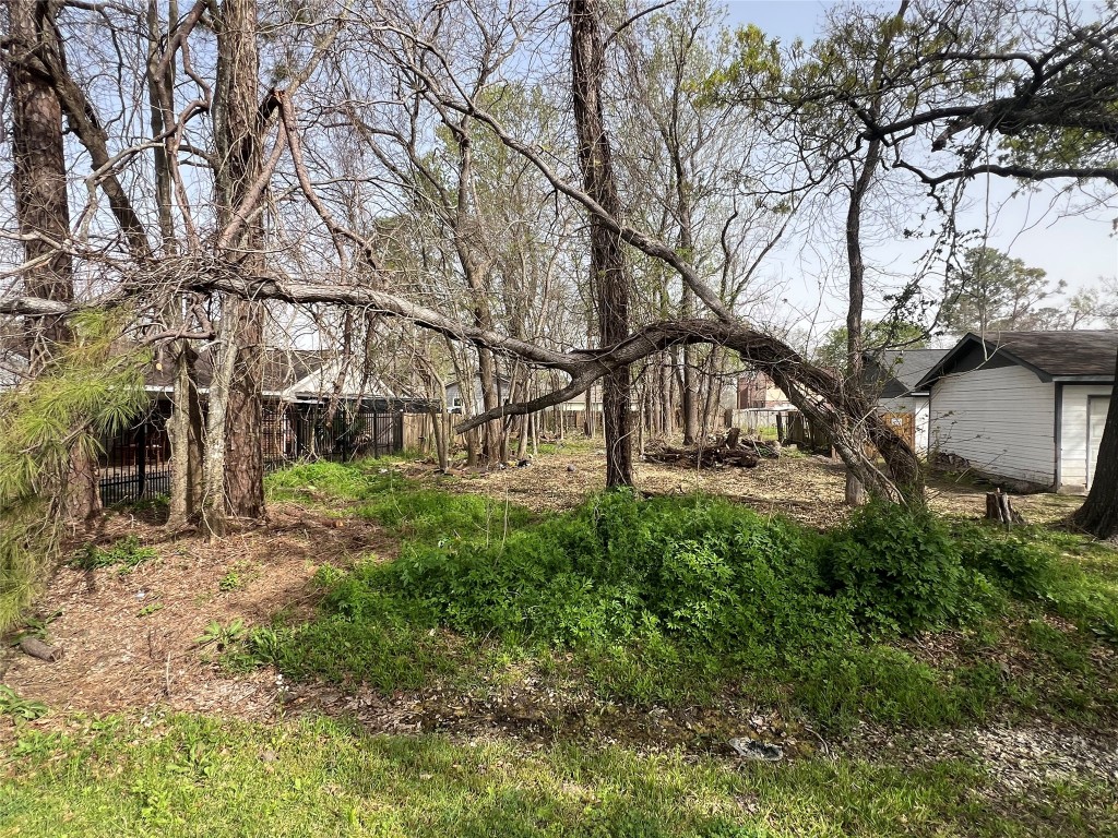0 Verhalen Avenue Houston, TX 77039 - Photo 1 of 6 a view of a yard with plants and trees