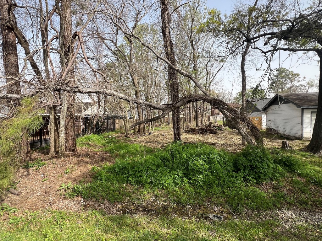 0 Verhalen Avenue Houston, TX 77039 - Photo 2 of 6 a view of a yard with plants and trees