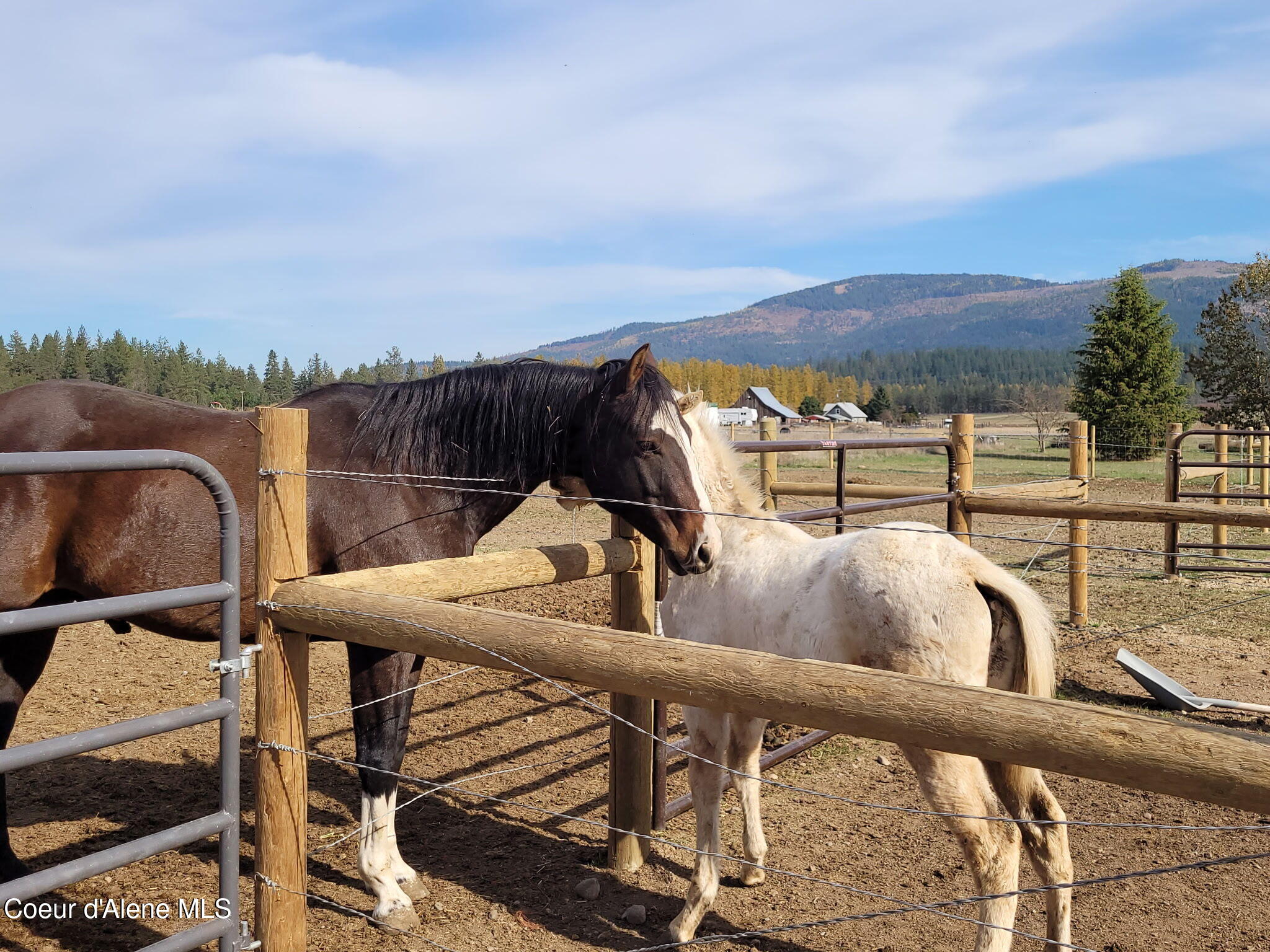 229 McDonald Creek Road Blanchard, ID 83804 - Photo 5 of 42 Horse Property under $600K