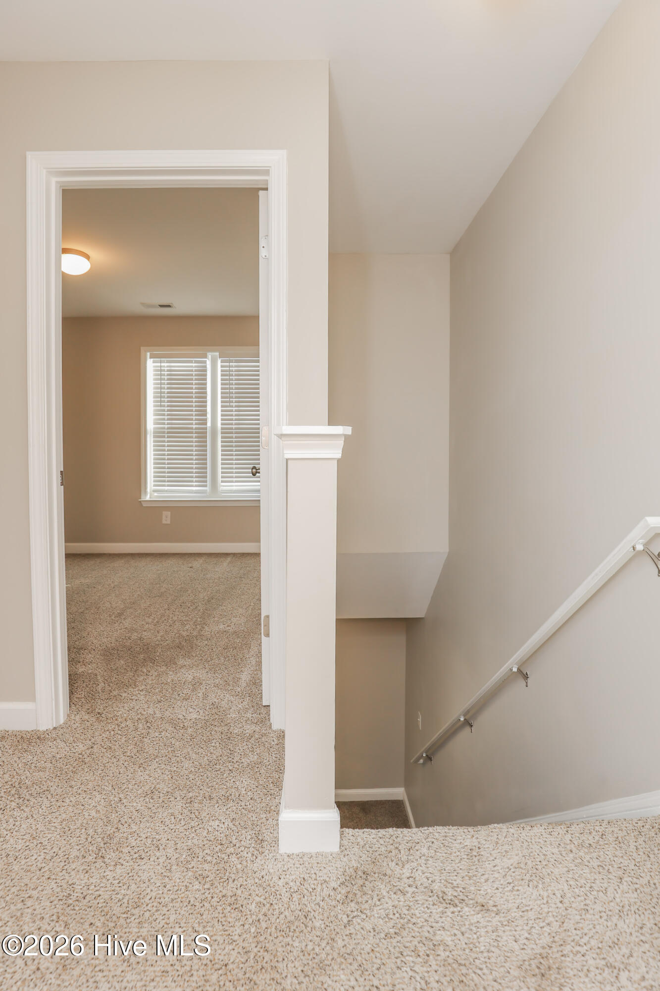 106 Blueberry Fields Road Maple Hill, NC 28454 - Photo 22 of 40 229A1706