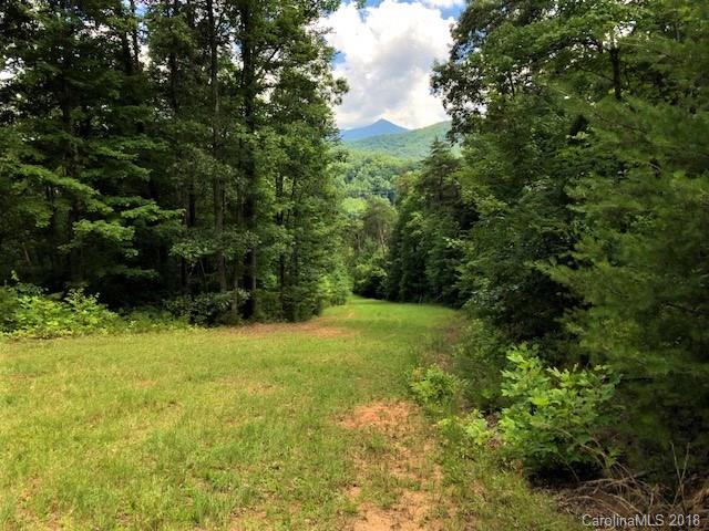 6 Tylers Run Road Candler, NC 28715 - Photo 12 of 12 Gallery Image 12