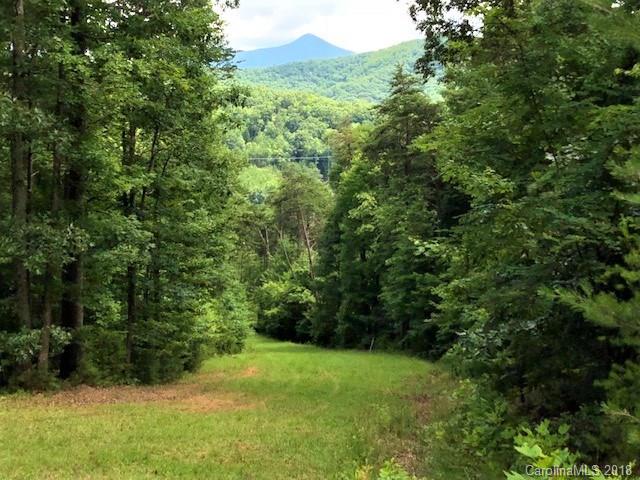 6 Tylers Run Road Candler, NC 28715 - Photo 3 of 12 Gallery Image 3