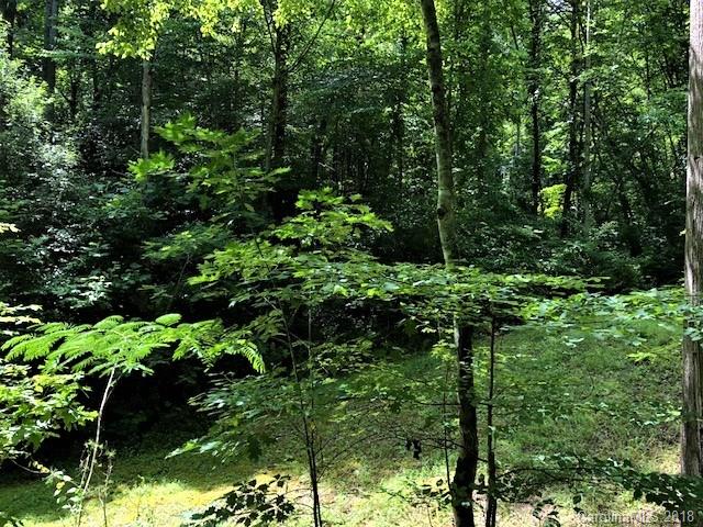 6 Tylers Run Road Candler, NC 28715 - Photo 10 of 12 Gallery Image 10