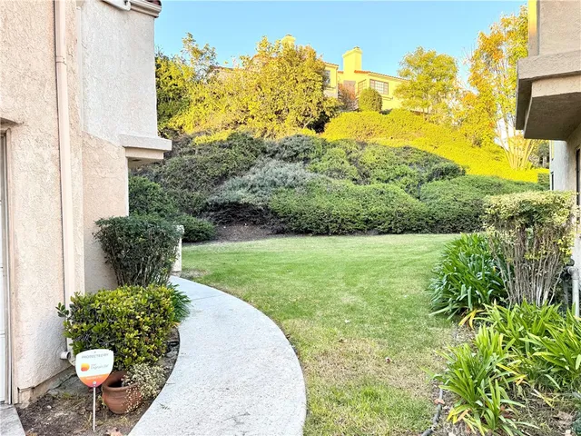 a view of a garden with plants