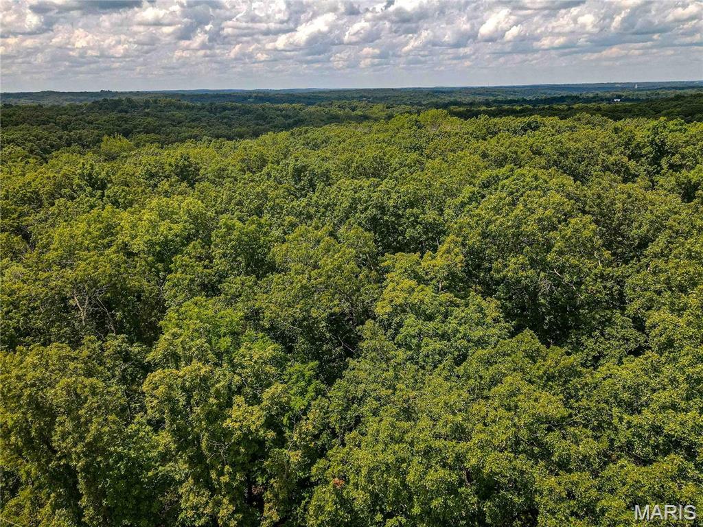 1811 Hendricks Road Lonedell, MO 63060 - Photo 2 of 5