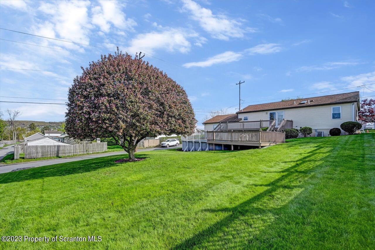 602 Eynon Street Scranton, PA 18504 - Photo 3 of 80 a view of a house with a big yard and a large tree