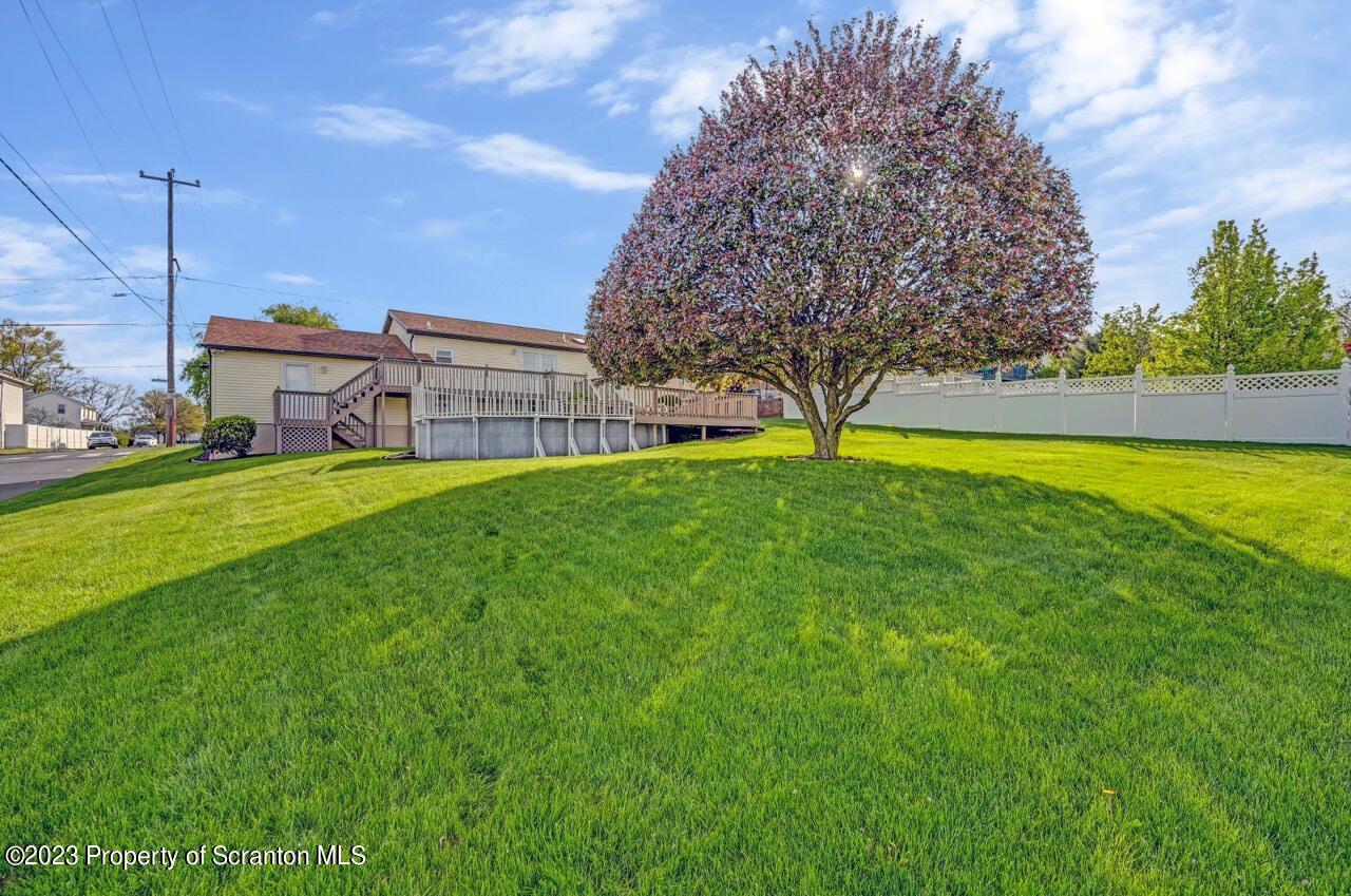 602 Eynon Street Scranton, PA 18504 - Photo 59 of 80 a view of a house with a big yard and potted plants