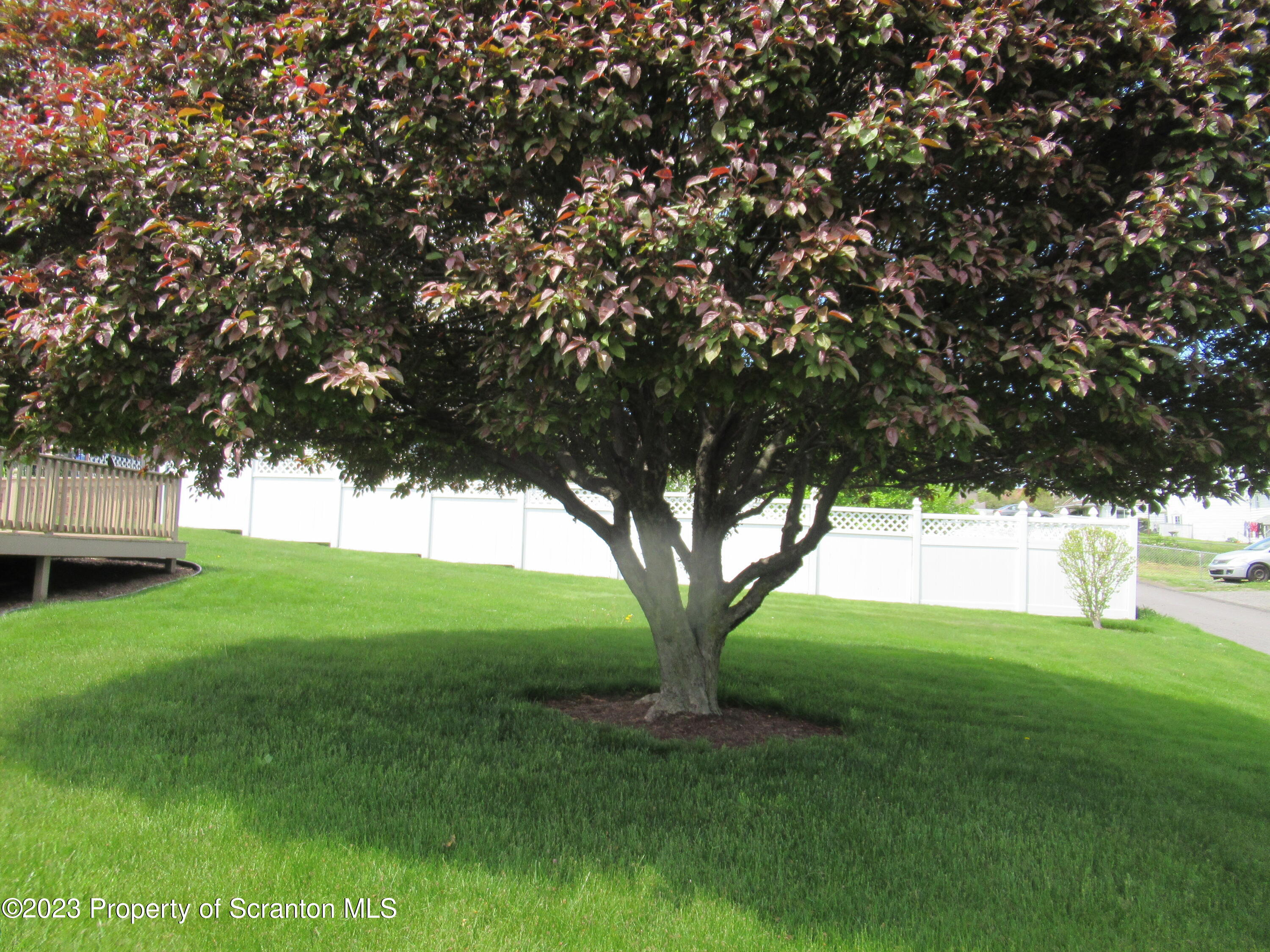 602 Eynon Street Scranton, PA 18504 - Photo 76 of 80 a view of yard with large trees