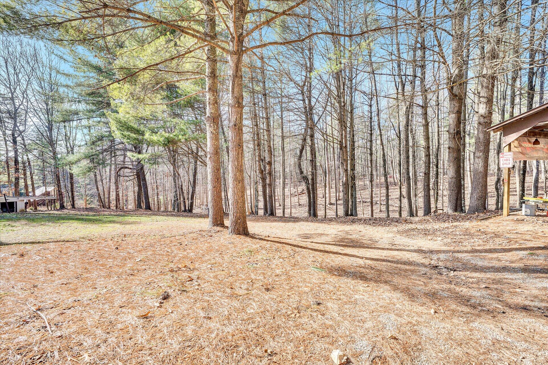 98 Sunset Ridge Road Callaway, VA 24067 - Photo 29 of 32 a view of a backyard of the house