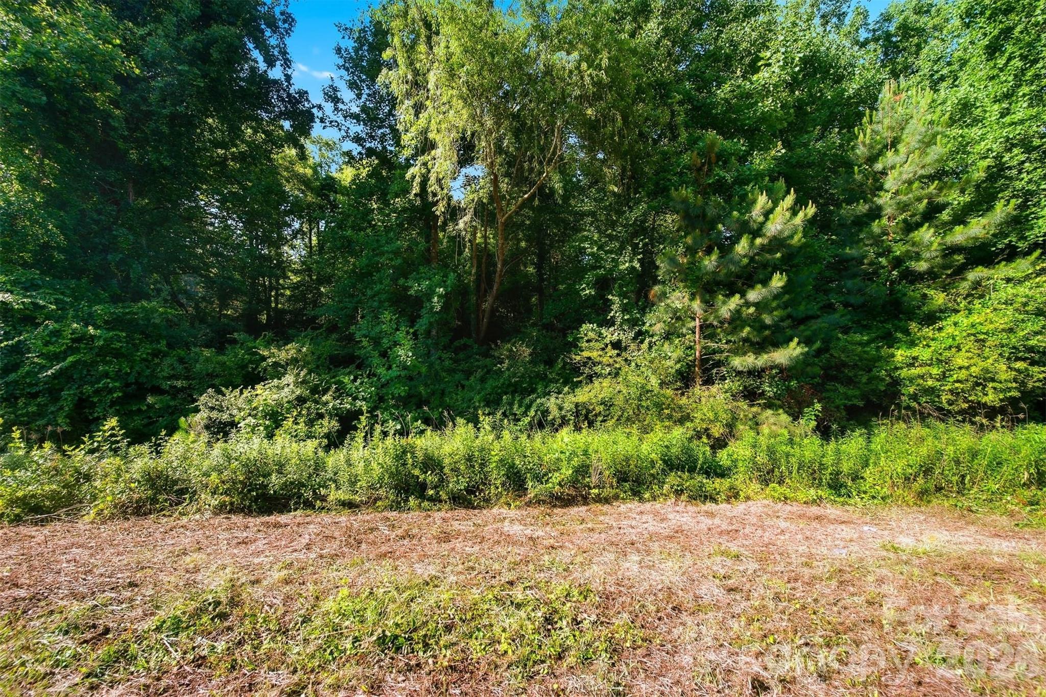 5647 Charlie Little Road Granite Falls, NC 28630 - Photo 10 of 11