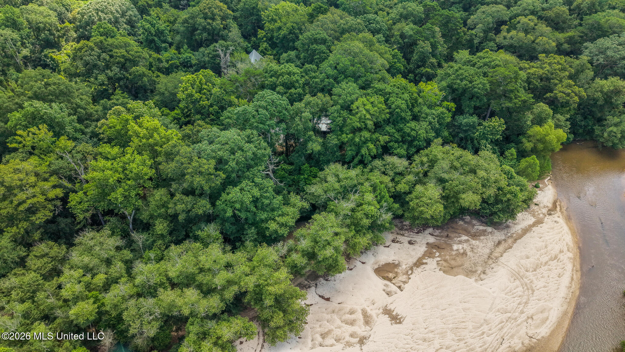 4091 Leatherwood Road Tylertown, MS 39667 - Photo 13 of 58 DJI_20260604110611_0777_D
