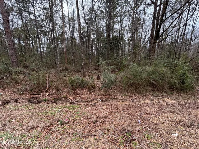 $49,900 | Ms-24, Gloster, MS 39638