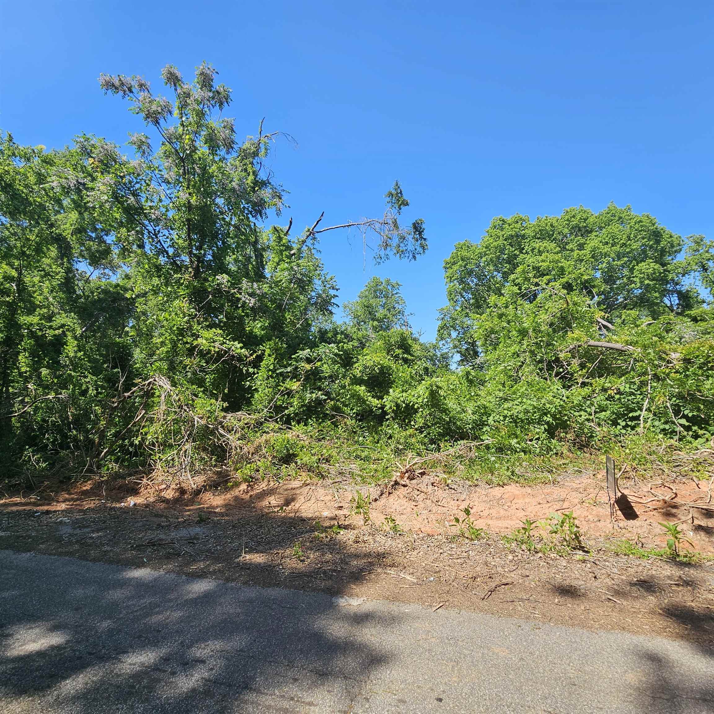 0 Ice House Road Enoree, SC 29335 - Photo 1 of 27 Gallery Image 1