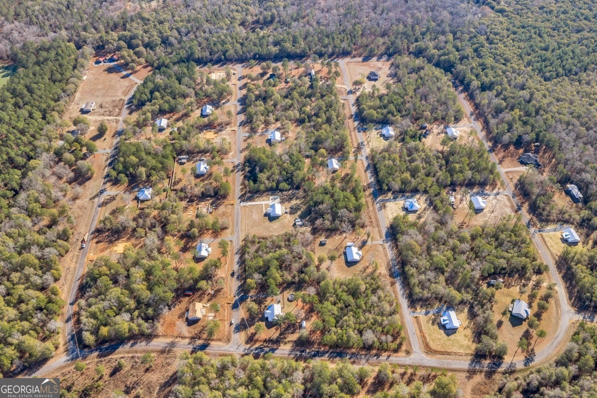 27 Bluegill Road Vienna, GA 31092 - Photo 45 of 68