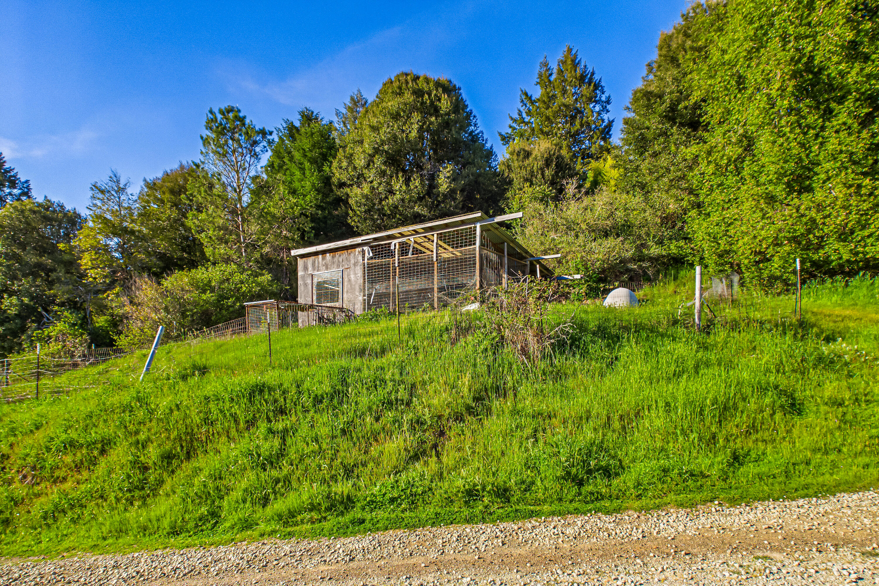 12600 Briceland Road Whitethorn, CA 95589 - Photo 55 of 111