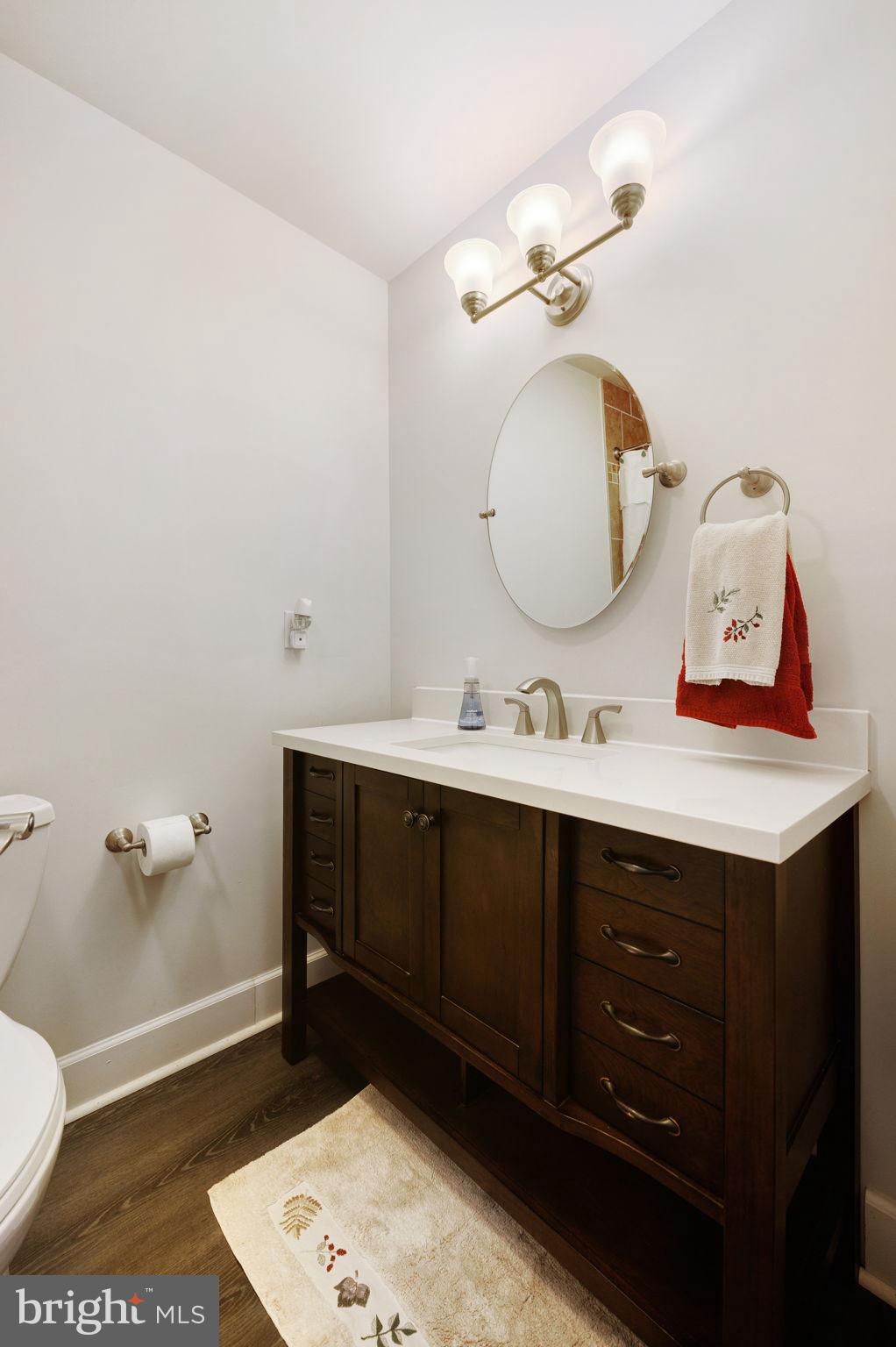 919 Chalklevel Road Louisa, VA 23093 - Photo 22 of 32 a bathroom with a sink vanity and a mirror