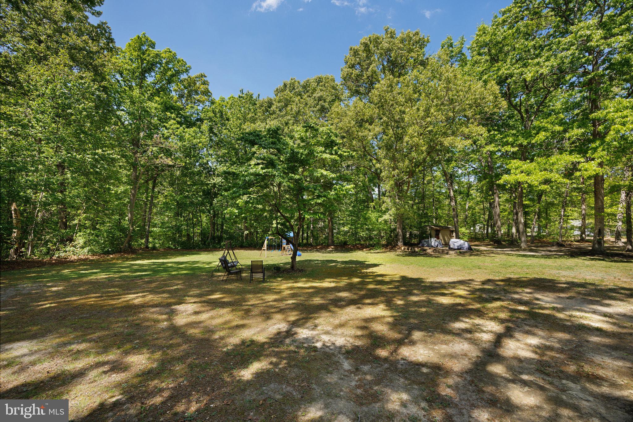 919 Chalklevel Road Louisa, VA 23093 - Photo 29 of 32 a tall tree in middle of green field