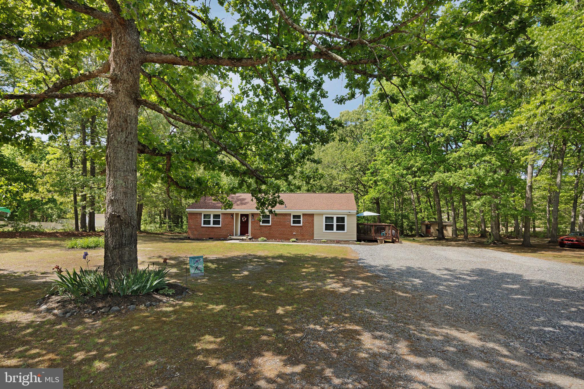 919 Chalklevel Road Louisa, VA 23093 - Photo 3 of 32 a house with trees in front of it