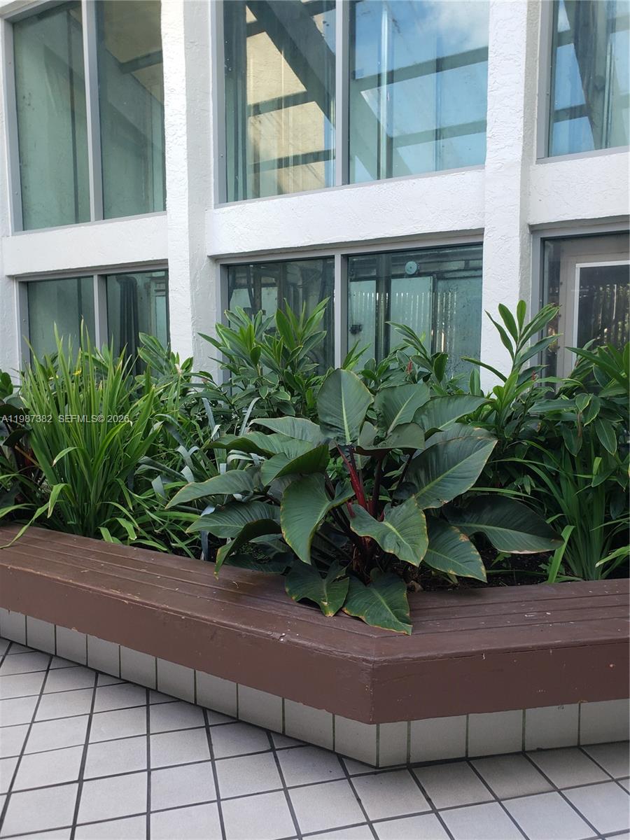 11800 Southwest 18th Street, Unit 3274 Miami, FL 33175 - Photo 3 of 23 a plant is in front of a house