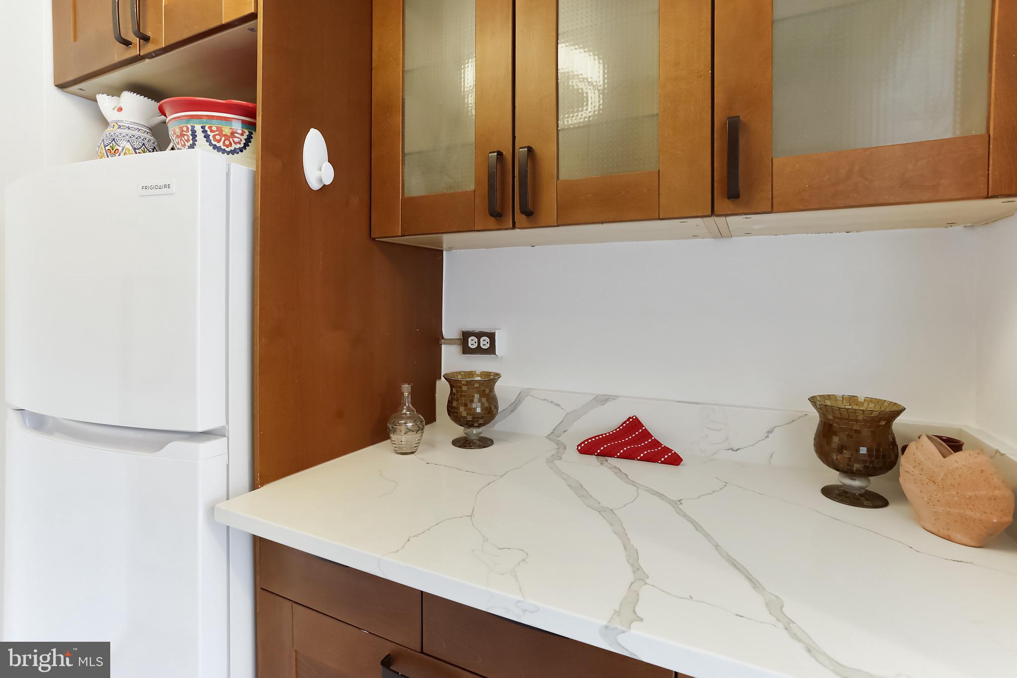 1900 Lyttonsville Road, Unit 802 Silver Spring, MD 20910 - Photo 32 of 38 a close view of cabinet